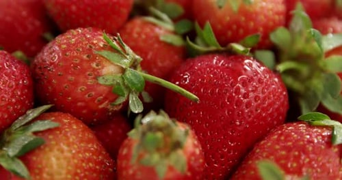 Close-up of fresh strawberries