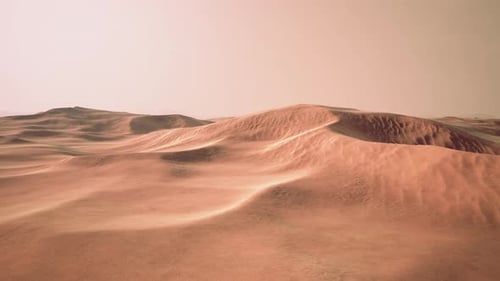 Light of the Sunset in the Beautiful Desert in Abu Dhabi