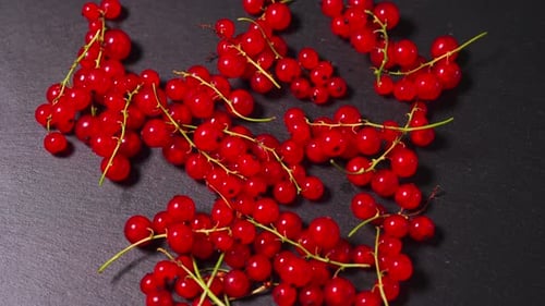 Bright Red Currants Scattered on a Dark Surface