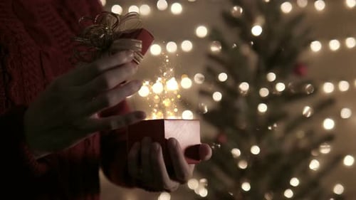 Magical Christmas Gift Opening on Holiday Evening