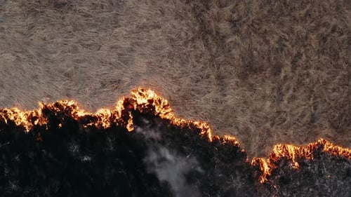 Natural Disaster, Burning Field. Epic Aerial Photography, Smoke Clouds and Fire Spread