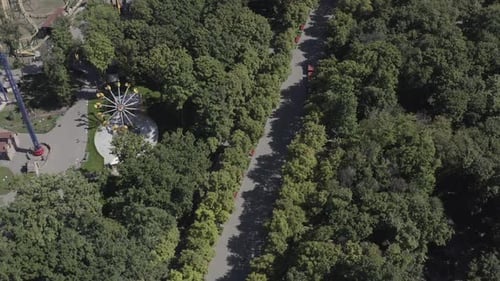 Rundluftaufnahme der zentralen Gasse des Gorki-Parks mit vielen Bäumen, die Fahrten im sonnigen Raum arbeiten