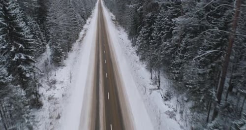 Winter Road in the Forest