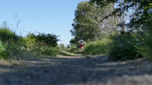 Jogging Man in Summer Forest