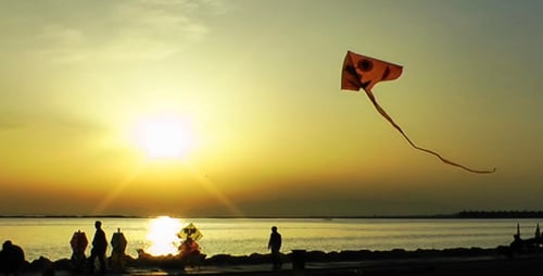 Kite Near the Seaside