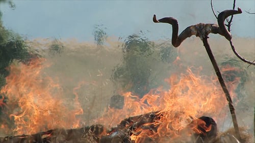 Ancient Burning Corpse Ritual