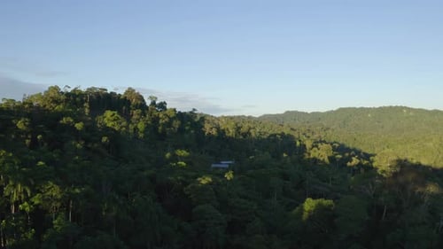 Aerial view of a tropical forest, approaching two houses with tin roofs