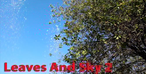 Water Droplets Falling Against Blue Sky and Tree