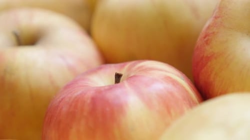 Malus Pumila Domestica Obst Gesundes Essen Hintergrund kippbar 4K 2160p UHD-Aufnahmen - Langsame Neigung auf o