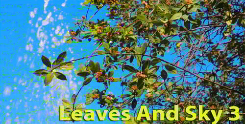 Water Sprinkling on Green Tree against Blue Sky