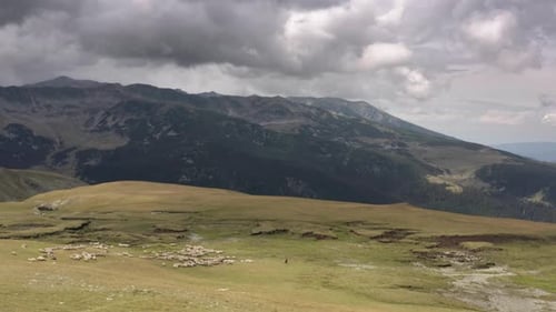 Shepherd With Sheep On Top Of The Mountain