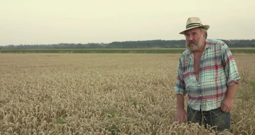 Farmer Celebrating Successful Harvest in Golden Wheat Field