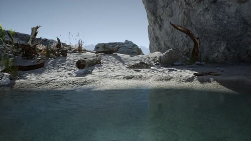 White Sand Beach Near Rocky Cliffs at Ocean