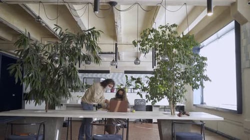 Adults Working Together in a Modern Open-plan Office