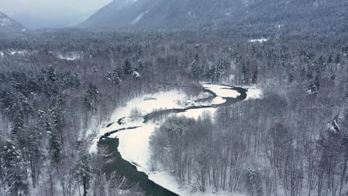 Belle forêt de scène de neige en hiver