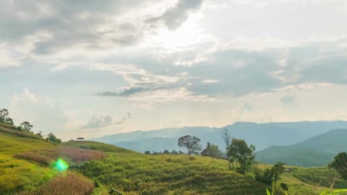 Landscape Summer