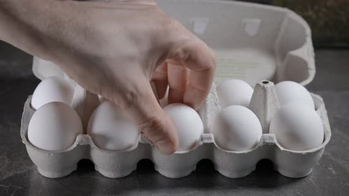 Chicken Egg for Breakfast