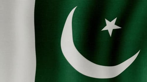 Waving Pakistan Flag with Realistic Fabric Seamless Loop
