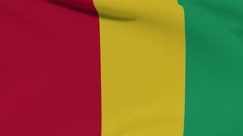 Guinea Flag Seamless Waving Loop Animation