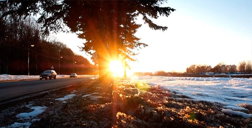Forest Road And Sunset