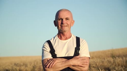 Close Up Portrait of Senior Farmer Looking To the Camera in the Golden Field on the Blue Sky