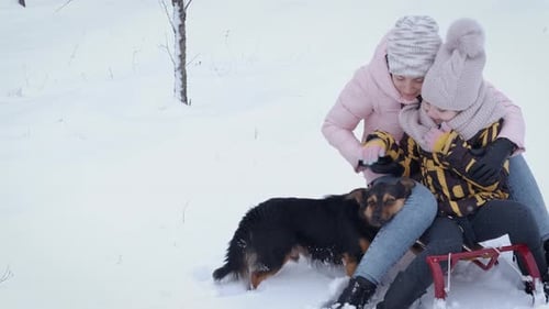 Mother and Child with Dog on Sled in Snow
