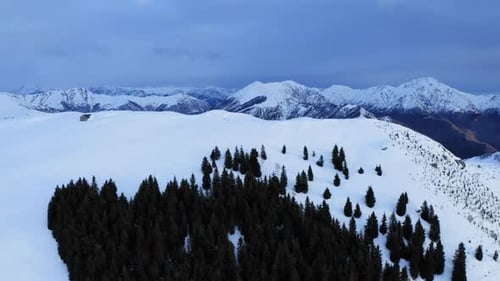 Aerial View of Dark Forest, in Background Snow Covered Mountain Range After the First Snowfall