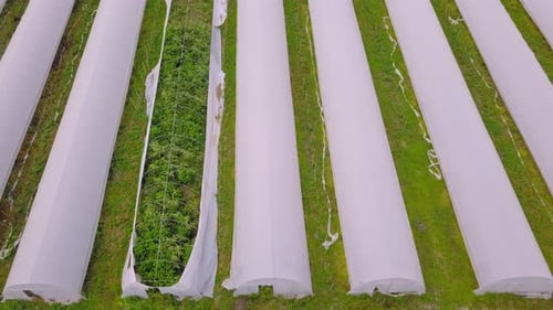 Aerial View of Rural Greenhouses on Agricultural Land