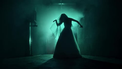 Silhouette of Figure in Gown Moving in Fog