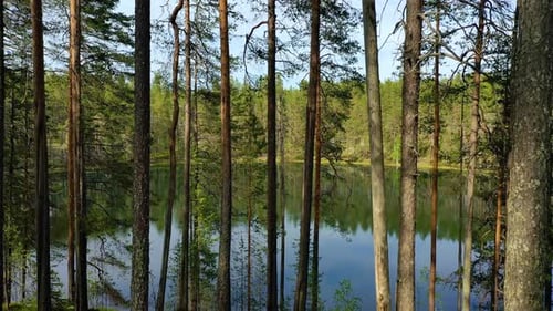 Lake and Forest in Finland