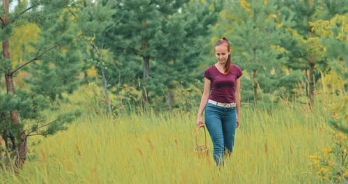 Pretty Young Woman in Jeans Is Walking Through the Woods, Beautiful Girl Walks on the Lawn and Holds