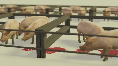 3D Animated Pigs in Farm Pens with Blood