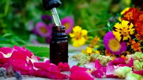 Extracting Essential Oil with Dropper Among Flower Petals