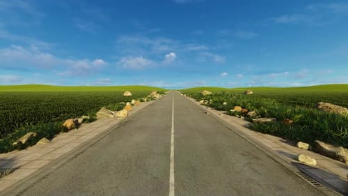 Highway Among The Fields