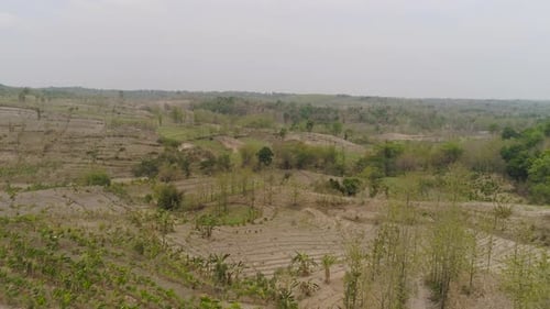 Agricultural Landscape in Indonesia