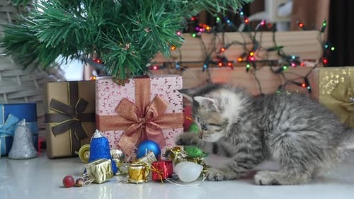 Playful Kitten with Christmas Ornaments and Gifts