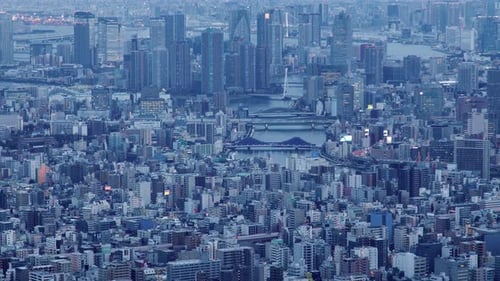 Tokyo Downtown Streets Panorama Sunset Timelapse