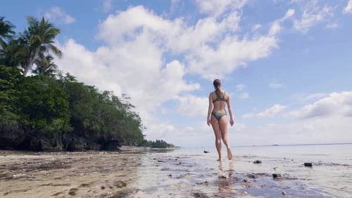 Young Woman in Bikini Walking on Wet Sand on Sea Beach on Sky an Palm Tree View. Beautiful Girl in