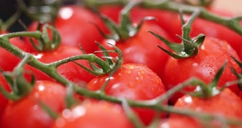Vibrant Cherry Tomatoes on the Vine
