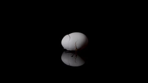 Egg cracks on black mirroring surface.