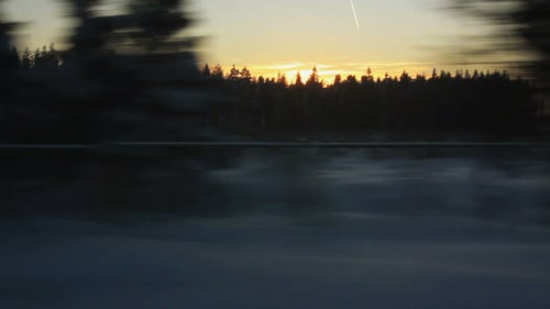 Hochgeschwindigkeitszug entlang des Waldes (POV)