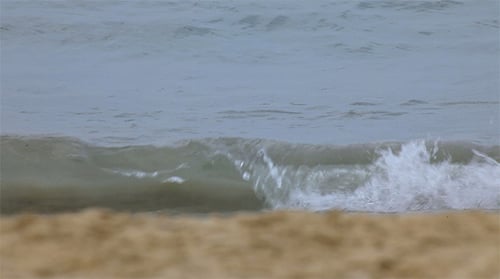 Tide
