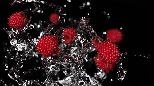 Dynamic Water Splash with Red Raspberries