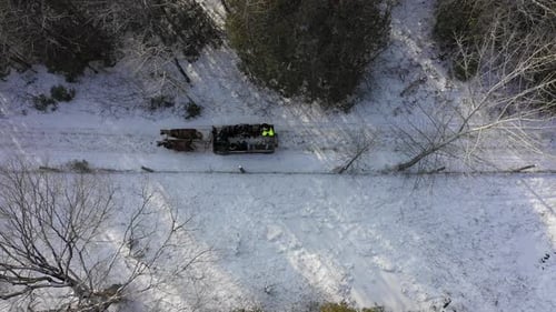 horse drawn sleigh at christmas themed forest event