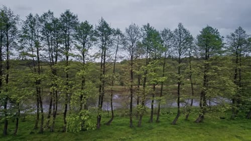 Vue de dessus de la rivière entourée d'arbres et de prairies