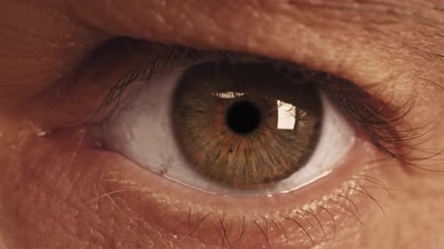 Macro Close Up of a Hazel Colored Eye