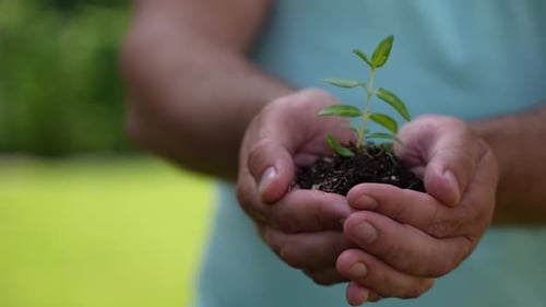 Holding Green Plant in Hands 63