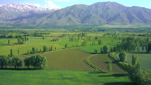 Mountains And Field