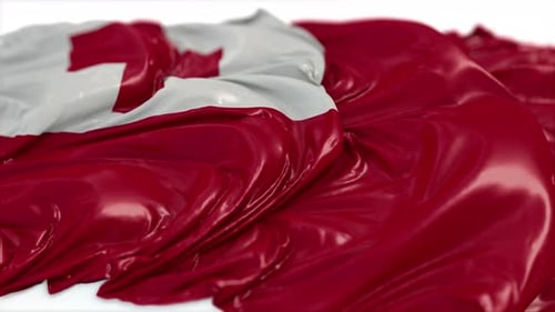 Tonga Flag Waving Loop Animation