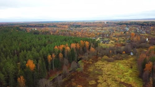 Autumn In The Forest 31